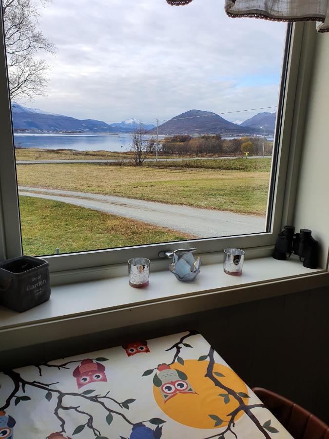 1 Room In The Yellow House, Close To Airport & Lofoten Evenskjer المظهر الخارجي الصورة