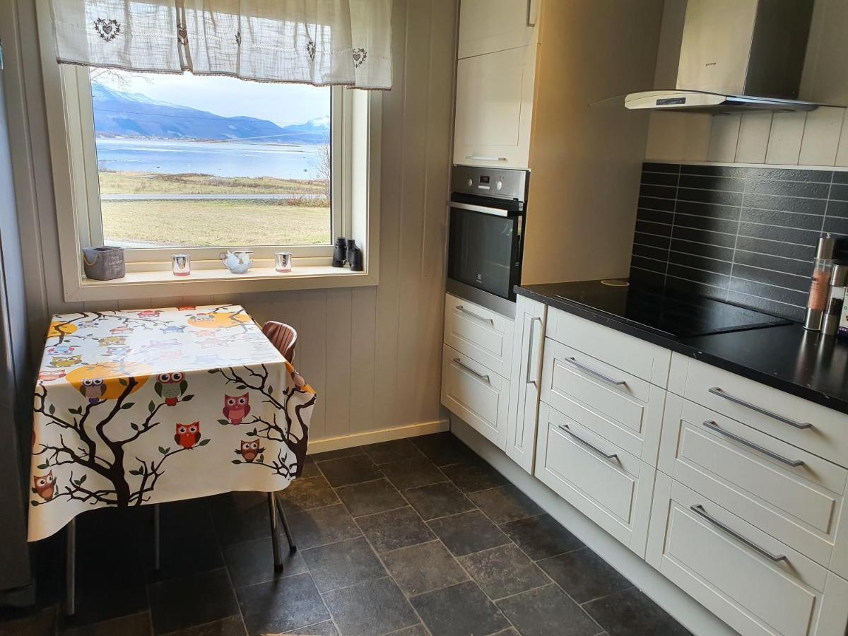 1 Room In The Yellow House, Close To Airport & Lofoten Evenskjer المظهر الخارجي الصورة