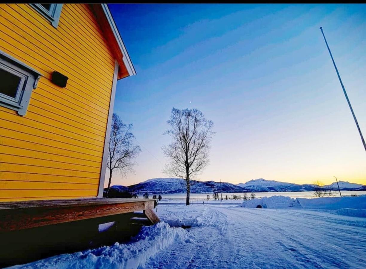 1 Room In The Yellow House, Close To Airport & Lofoten Evenskjer المظهر الخارجي الصورة